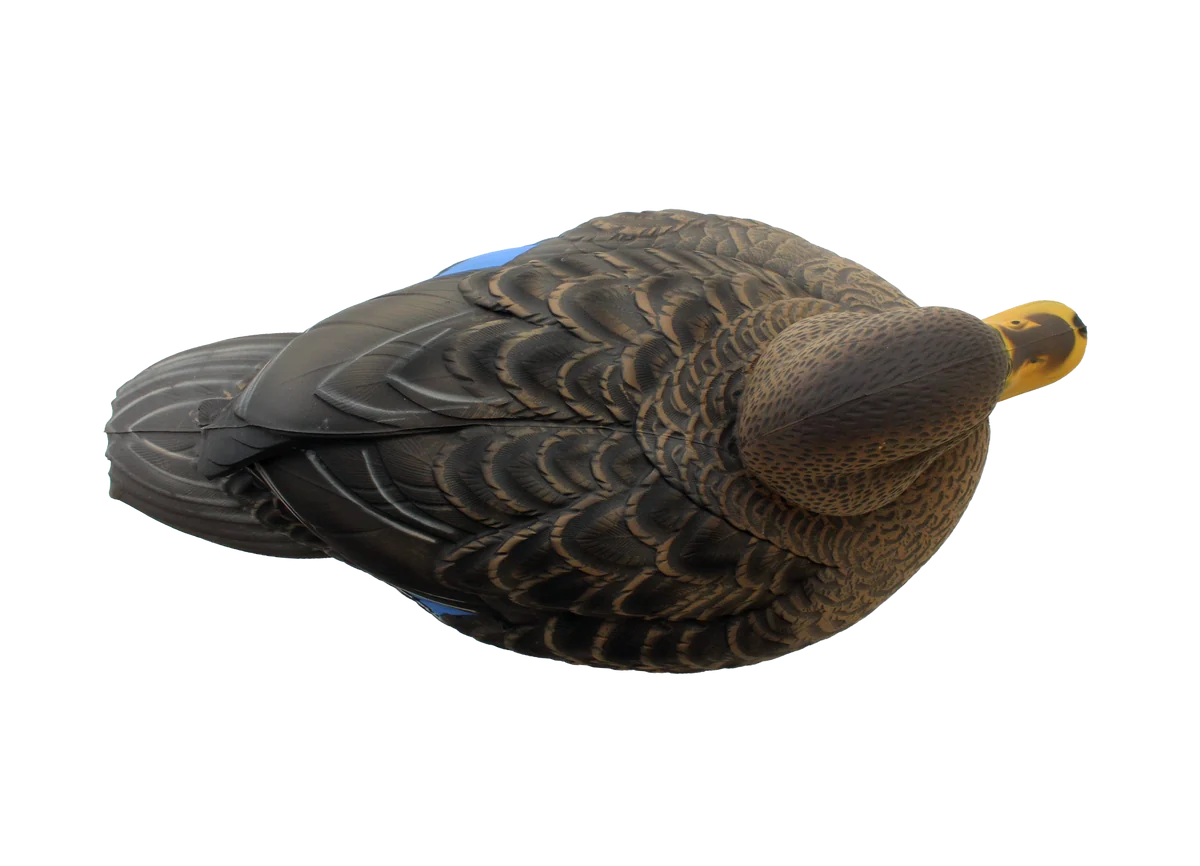Hayday Decoys HydroFoam Black Ducks