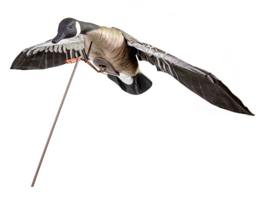 CLONE CANADA GOOSE