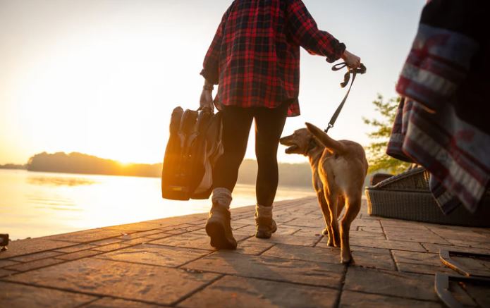 HOME COT ELEVATED PET BED