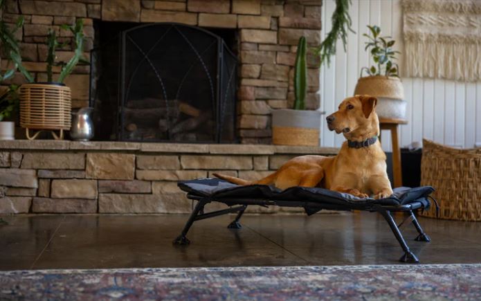 HOME COT ELEVATED PET BED