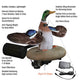 XS Splashing-Flasher, Mallard Drake 12V (with timer)