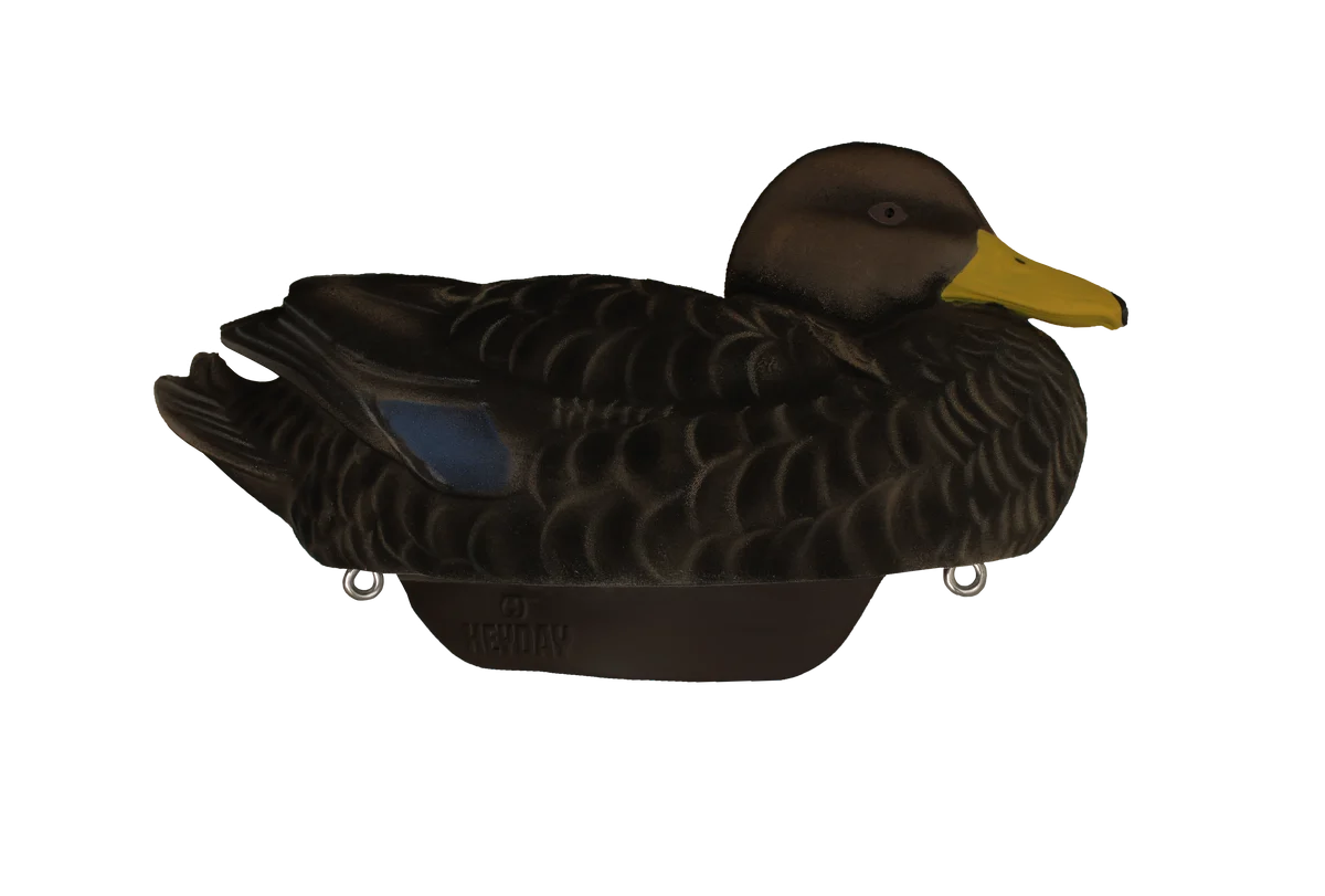 Hayday Decoys Hydro Foam Fully Flocked Black Ducks