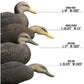 MAGNUM FULL-BODY BLACK DUCK
