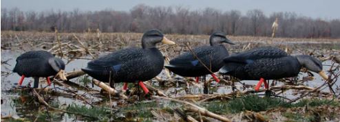 MAGNUM FULL-BODY BLACK DUCK