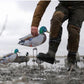 FLATS MALLARD DUCK MOTION SILHOUETTE