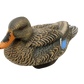 Hayday Decoys Hydro Foam Mallards