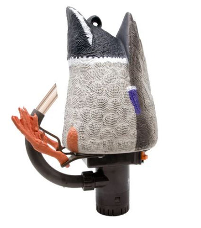 PULSATOR PRO GUIDE PACK