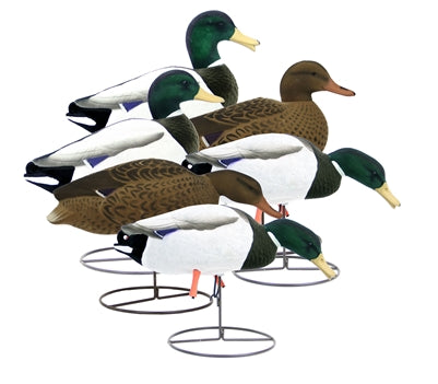 Tanglefree Magnum Full-Body Mallard, Variety Pk, Fully Flocked