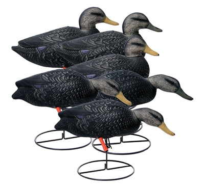 Magnum Full-Body Black Duck, Variety Pk