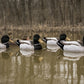 Magnum Mallard, Foam Filled, Fully Flocked
