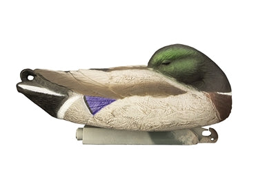 Full-Size Mallard