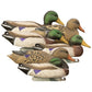 Full-Size Mallard