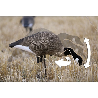 XS TruFeeder Motion, Alpha Canada Goose