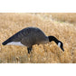 XS TruFeeder Motion, Alpha Canada Goose