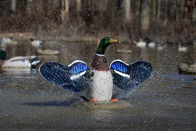 XS Splashing-Flasher, Mallard Drake 12V (with timer)