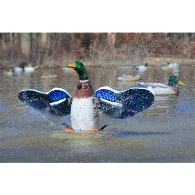 XS Splashing-Flasher, Mallard Drake 12V (with timer)