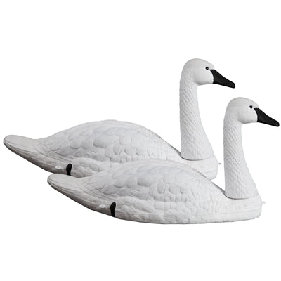 Tundra Swan (2pk)