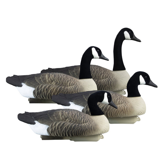 Alpha Magnum Goose Floater, Canada
