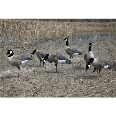 GOOSE DECOYS Hunter NZ