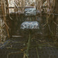 Blind Stool Tanglefree