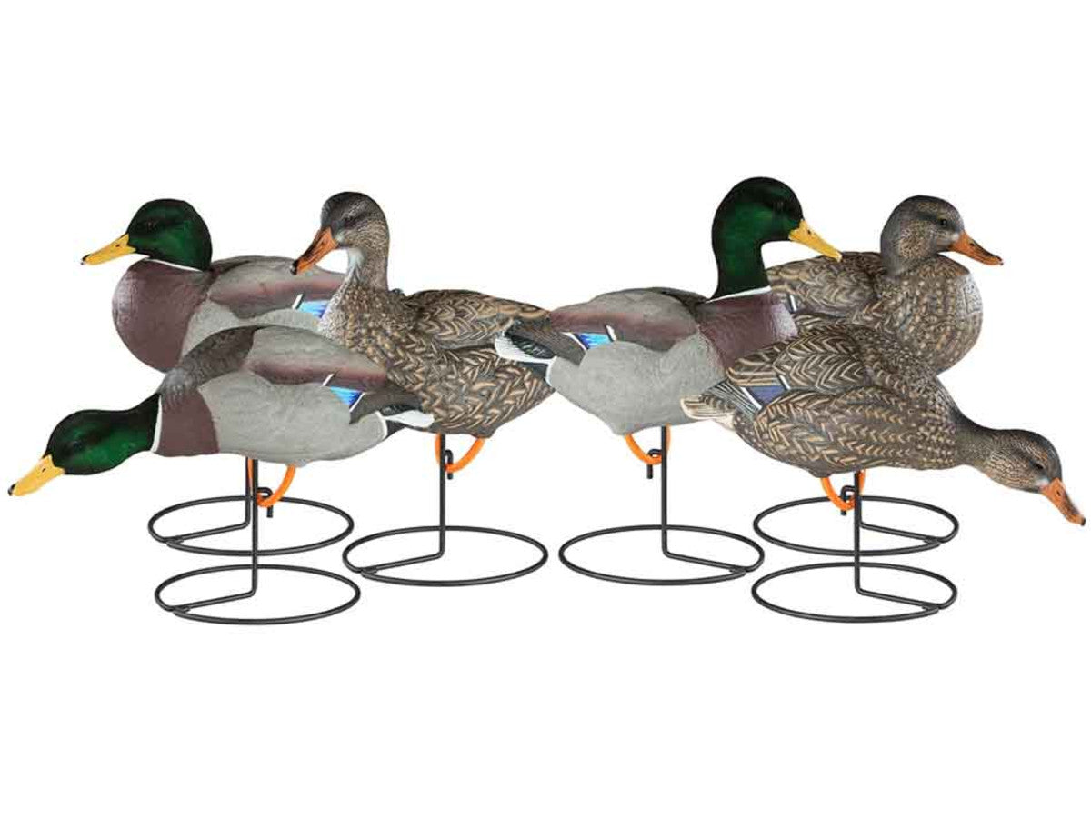 Dakota Decoy X-Treme Full Body Mallard Duck Decoys, 6 Pack – Hunter NZ