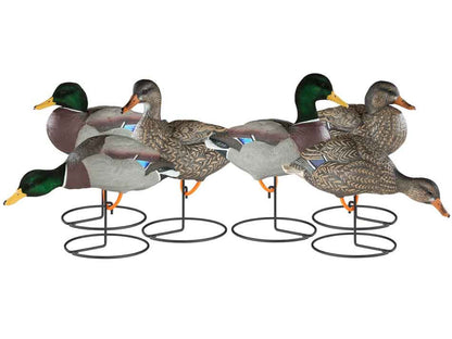 Dakota Decoy X-Treme Full Body Mallard Duck Decoys, 6 Pack