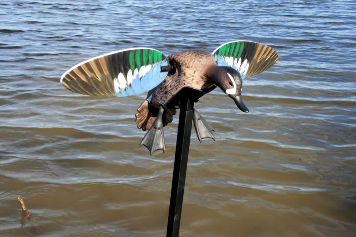 MOJO Elite Series - Blue Wing Teal