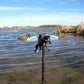 MOJO Elite Series - Blue Wing Teal