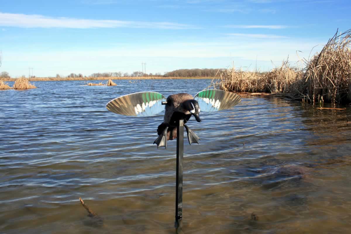 MOJO Elite Series - Blue Wing Teal