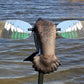 MOJO Elite Series - Blue Wing Teal