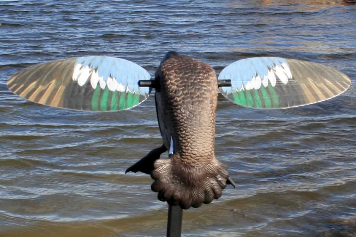 MOJO Elite Series - Blue Wing Teal