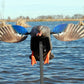 MOJO Elite Series - Mini Mallard Drake