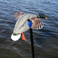 MOJO Elite Series - Mini Mallard Drake w/ Remote