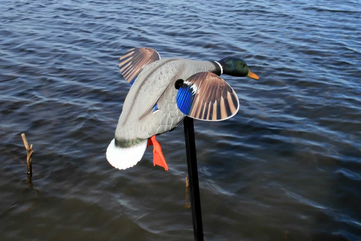 MOJO Elite Series - Mini Mallard Drake w/ Remote
