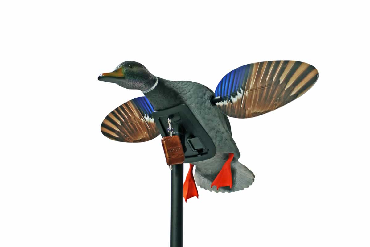 MOJO Elite Series - Mini Mallard Drake w/ Remote