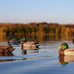 Super Magnum Mallard Decoys