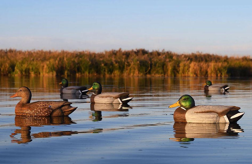 Super Magnum Mallard Decoys