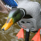 MOJO Mallard Elite Series - King Mallard w/ 6V Li-ion Battery
