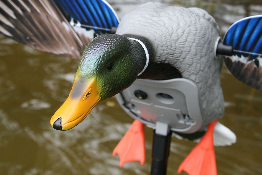 MOJO Mallard Elite Series - King Mallard w/ 6V Li-ion Battery