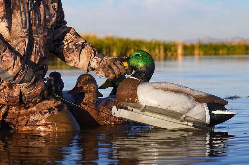 Super Magnum Mallard Decoys