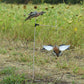 Powerflight Robo Dove