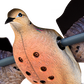 Powerflight Robo Dove