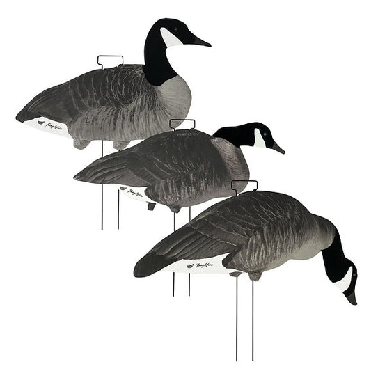 Tanglefree Canada Skinny Decoys