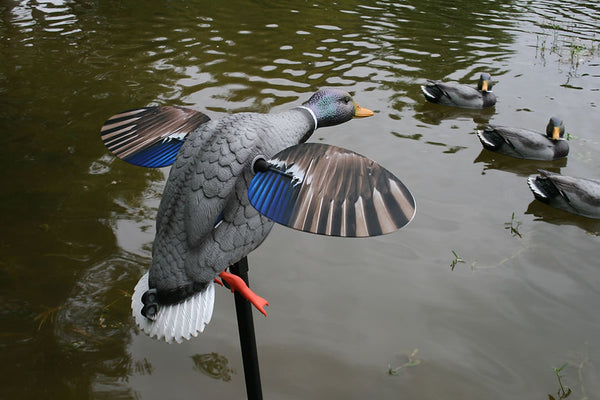 MOJO Mallard Elite Series - King Mallard w/ 6V Li-ion Battery – Hunter NZ