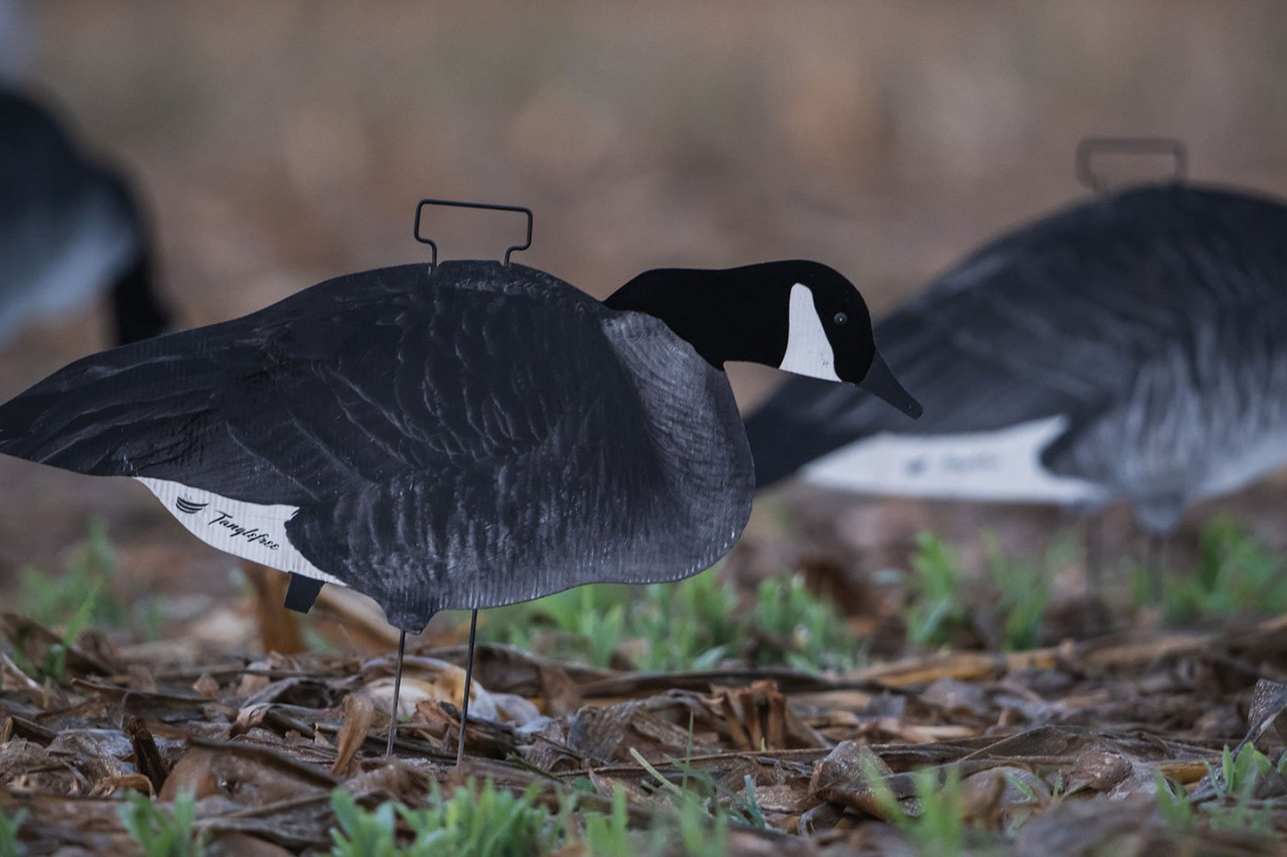 Fully Flocked Canada Skinny Decoys