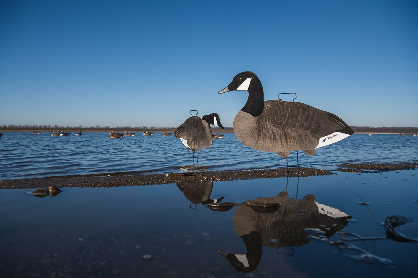 Fully Flocked Canada Skinny Decoys