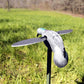 MOJO Pigeon Decoy