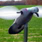 MOJO Pigeon Decoy