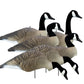 Alpha Wobbler, Magnum Canada Full Form Shell Variety Pack (6pk)